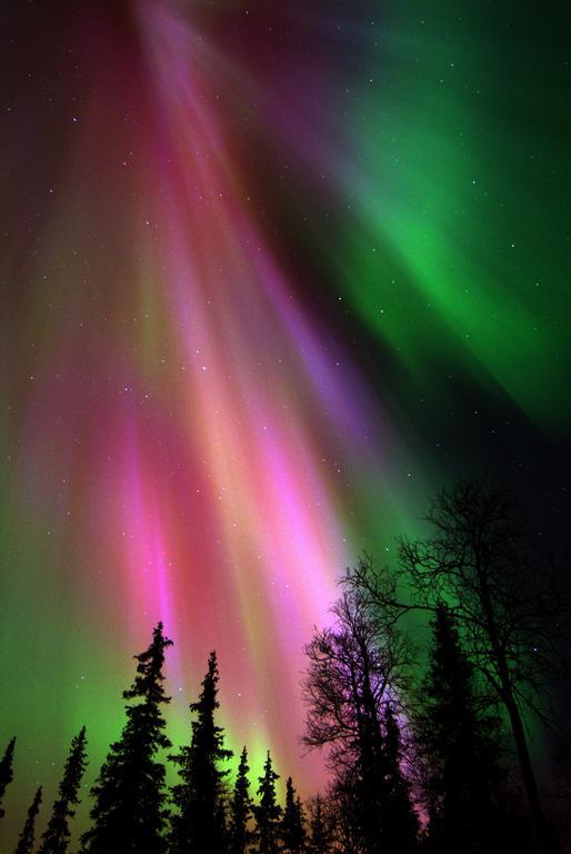 Lapland Northern Lights Hotel Ilveslinna ראנואה מראה חיצוני תמונה
