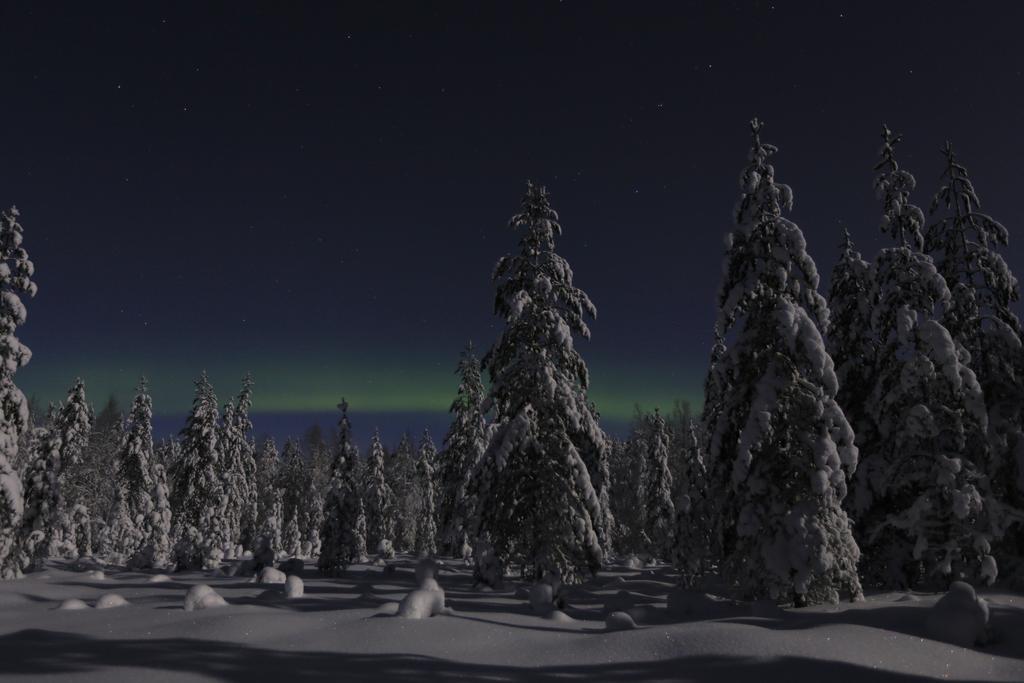 Lapland Northern Lights Hotel Ilveslinna ראנואה מראה חיצוני תמונה