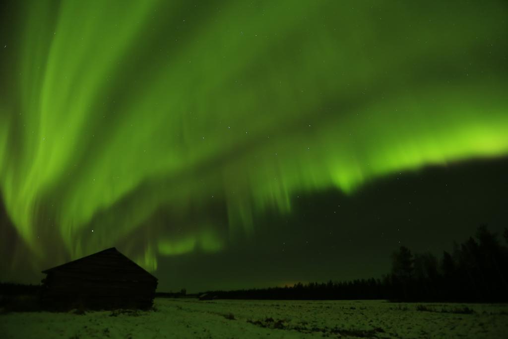 Lapland Northern Lights Hotel Ilveslinna ראנואה מראה חיצוני תמונה