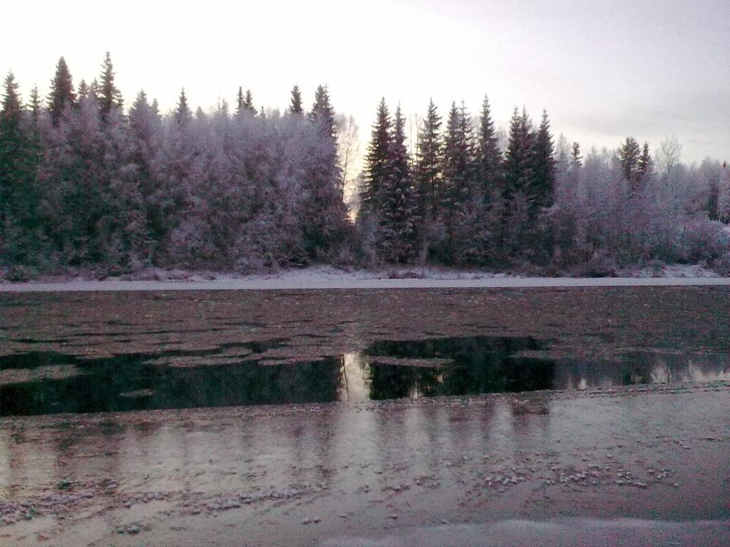 Lapland Northern Lights Hotel Ilveslinna ראנואה חדר תמונה