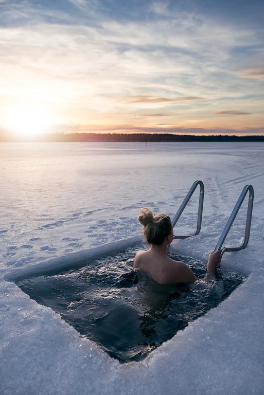 Lapland Northern Lights Hotel Ilveslinna ראנואה מראה חיצוני תמונה