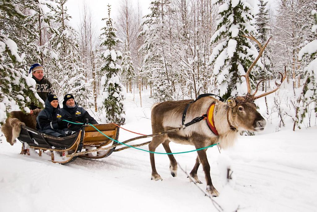 Lapland Northern Lights Hotel Ilveslinna ראנואה מראה חיצוני תמונה