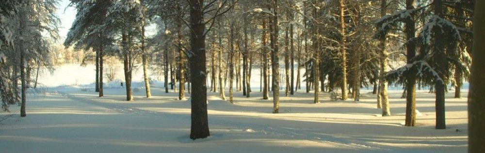 Lapland Northern Lights Hotel Ilveslinna ראנואה מראה חיצוני תמונה