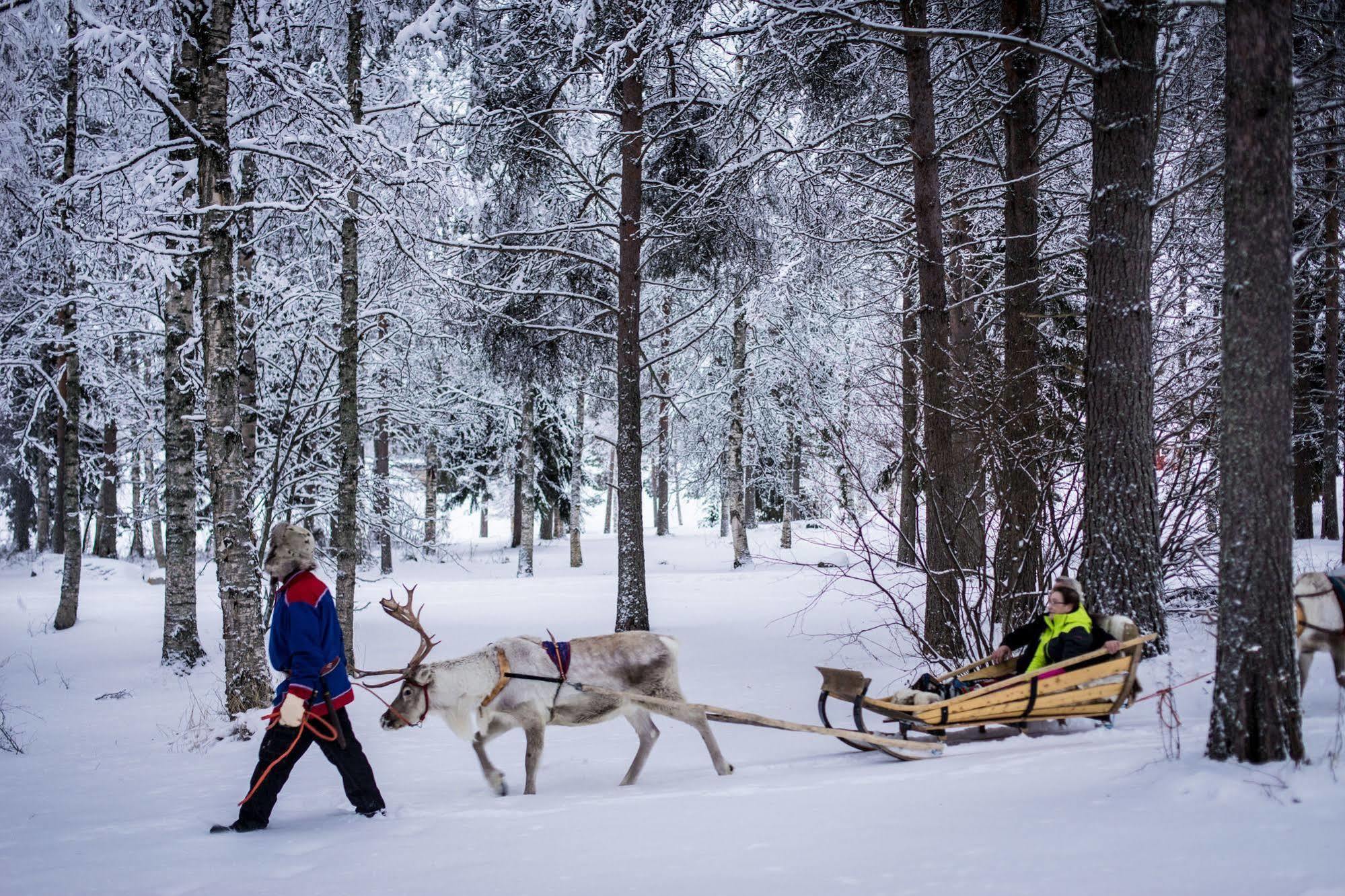 Lapland Northern Lights Hotel Ilveslinna ראנואה מראה חיצוני תמונה