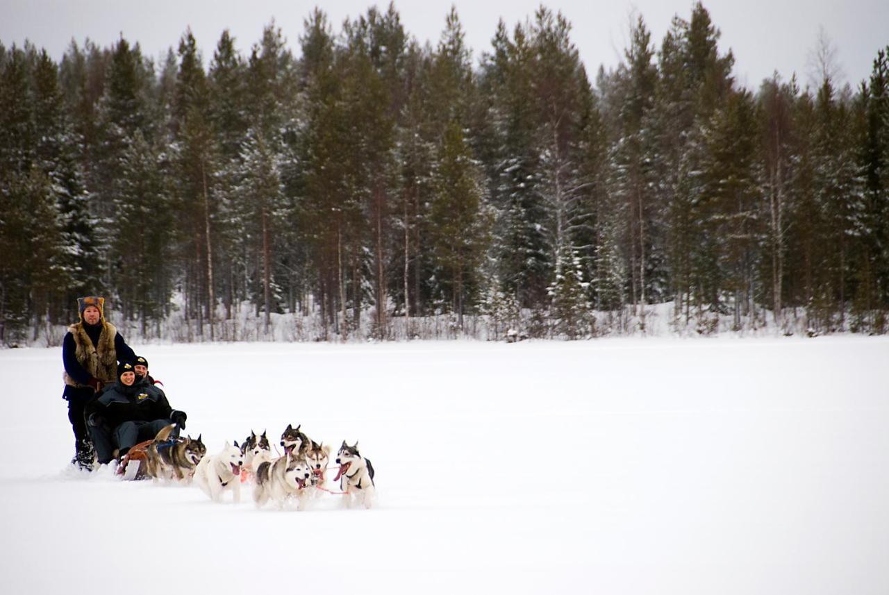 Lapland Northern Lights Hotel Ilveslinna ראנואה מראה חיצוני תמונה